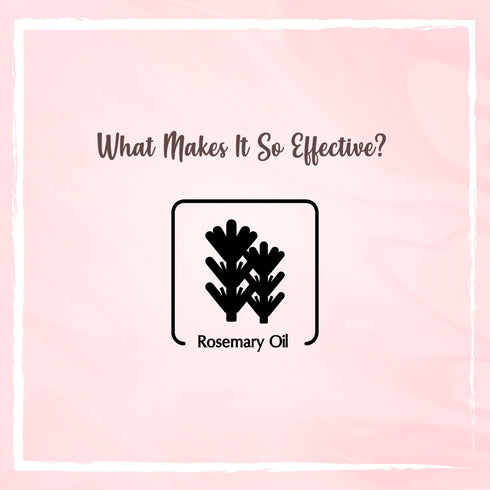 the beauty co India Rosemary Essential Oil for Hair Growth and Acne Control